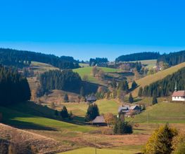 Urlaub im Schwarzwald