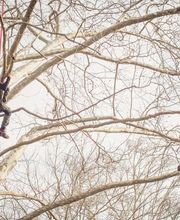 Giardini Fioriti Sagl Bild 9