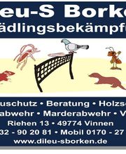 DiLeu-S Borken Schädlingsbekämpfung Bild 3