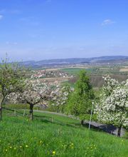 Aussicht Grüner Berg Meersburg