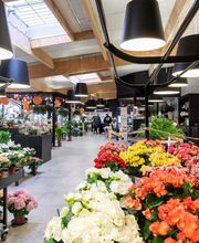 Janval Fleuri image 20