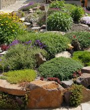 Ralf Trute Allrounder-Service