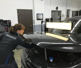 Dellentechnik Arnold Bild 2