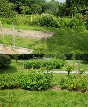 Ted Multiservices image 11