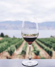 LE K-VO Sàrl Bild 4