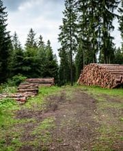 Jackels Kaminholz Bild 2