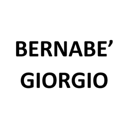 Bernabè Giorgio logo