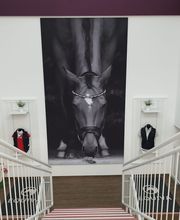 EQUIVA Siegen Bild 6