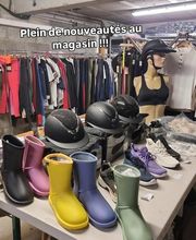 Sellerie Alidada image 1