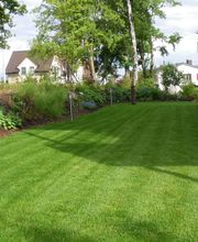 Berisha Gartenbau & Hauswartung GmbH Bild 12