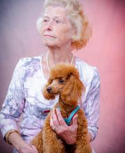 Photo-Proßwitz Bild 10