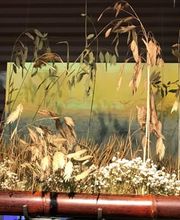 Floristik natürlich Bild 8