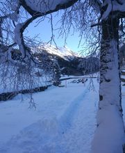 Bestattungsdienst Roland Ernst Bild 14