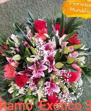 Floristeria Mundiflor imagen 6