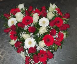 Test Fleurs image 14