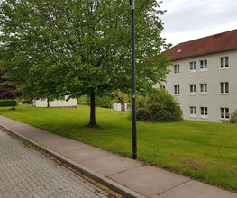 Garten- und Landschaftspflege Holger Greschok Bild 1