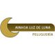 ainhoaluzdeluna-logo.jpeg