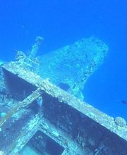 Dive X Egypt Bild 13