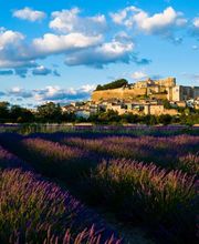 LE CLAIR DE LA PLUME image 9