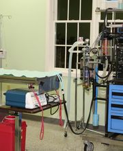 Skippack Animal Hospital image 13
