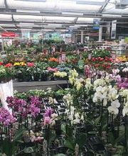 HELLWEG - Die Profi-Baumärkte Falkensee Bild 9