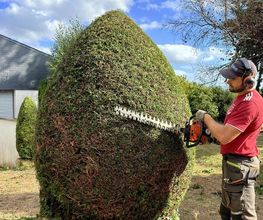 Clotaire les Espaces Verts image 10