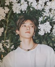 Pépinieres De L'Etang image 1