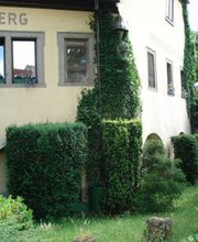 Spielberg Weinhaus Bild 1