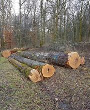 Ads Bois SARL image 6