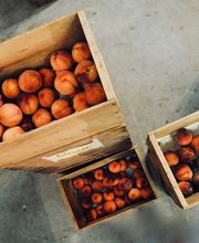 Palets Artola imagen 1