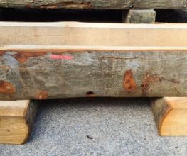 Jackels Kaminholz Bild 11