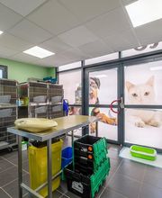 Clinique Vétérinaire Mon Véto Igoville image 16