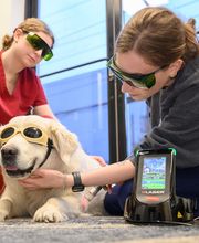 Oath Animal Hospital image 6