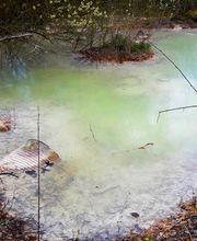 GEAUPOLE image 17