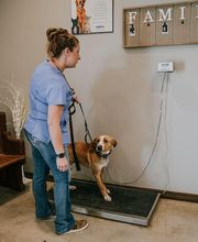 Wewoka Animal Hospital image 20