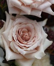 Pompes Funèbres Rithner