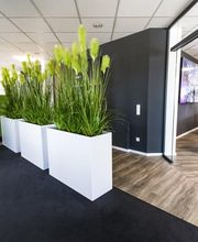 VIEWENTO GmbH Bild 3