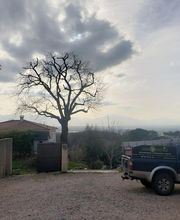 Arbroservice image 5