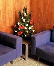 Tanatori Àltima Sant Just Desvern imagen 3