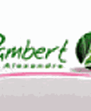 Rambert Alexandre image 2