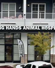 Caring Hands Animal Hospital - Suffolk image 19