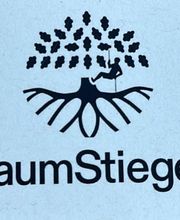 Baum Stieger - Baumpflege im Rheintal Bild 2