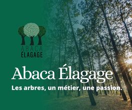 Abaca Elagage image 2