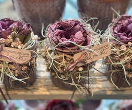 Blumen La Violetta Bild 11