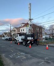 Owen's Tree Expert image 13