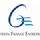 G.F.E Gestion France Entreprises