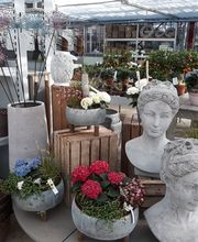 Bee wie Blumen Bild 12