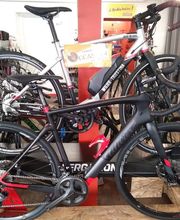 Tournon Cycles image 18