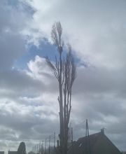 DFP Paysage image 20