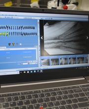 Short Pump Animal Hospital image 19